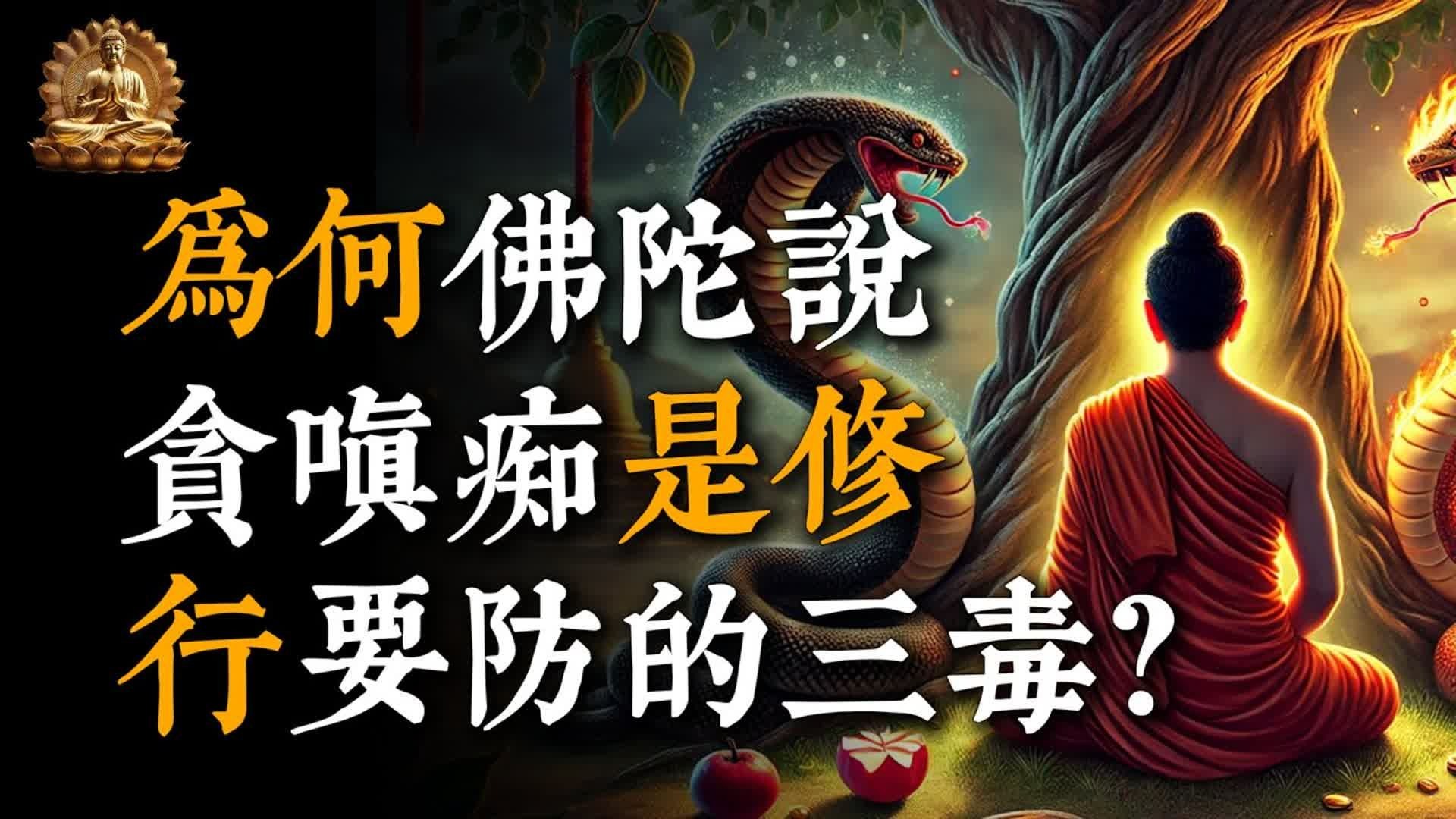 為什麽佛陀說，「貪嗔癡」是三毒？最後一毒最難除卻！#佛教 #佛家 #佛法 #佛學知識 #佛學智慧 #修心修行 #佛教文化 #禪悟人生#傳統文化#南無阿彌陀佛 #