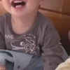 人类幼崽
