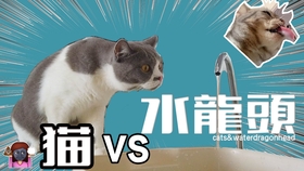 9245b81c44369900b6abe00ee58c415cfe6783ff.jpg@280w_158h_1c_100q.jpg