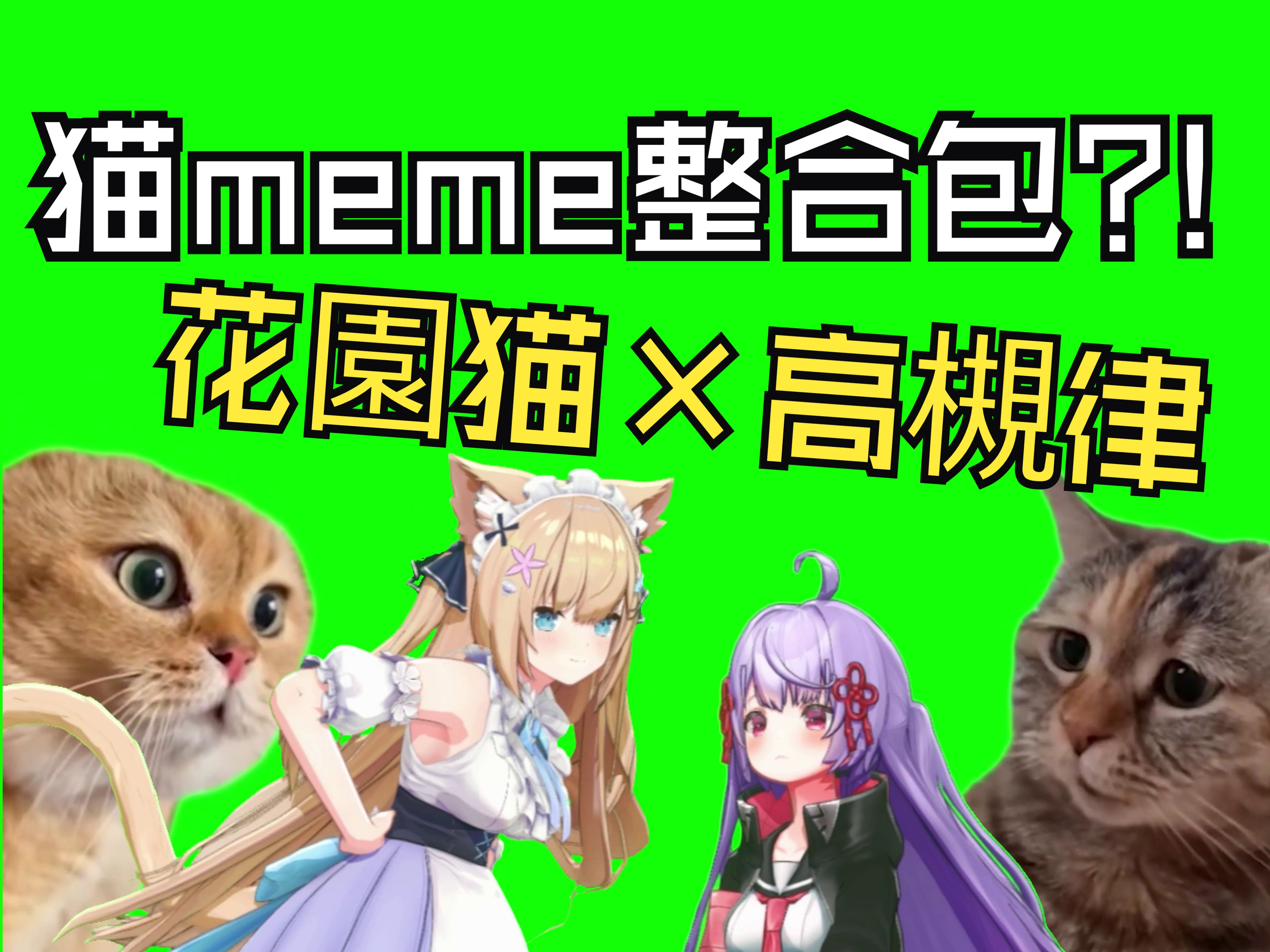 我们模仿了中国超流行的猫meme？！欢迎大家自由使用！【花园serena×高槻律】