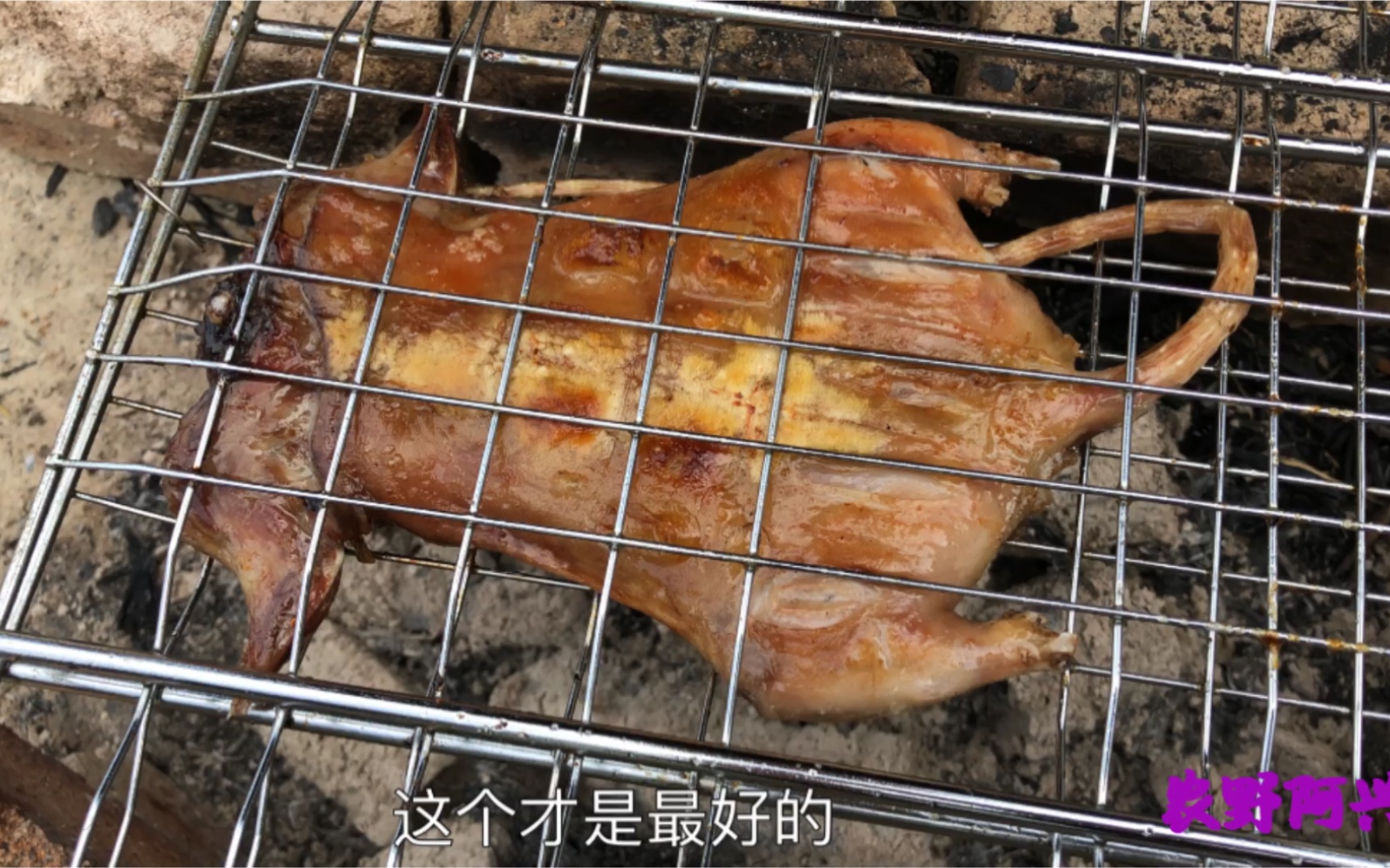 【福建烤老鼠】《乡土》 20111201 福建三明宁化县“捕鼠村”的怪美食_哔哩哔哩_bilibili