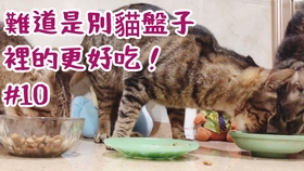 9266f4cd2016f8d533bad2ed462602c054a86fb5.jpg@280w_158h_1c_100q.jpg
