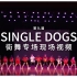 【浙大DFM街舞社】Jazz舞队 - Single Dogs（第九届街舞专场现场视频）