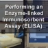 【JoVE】细胞分子生物学中的基本方法（8）酶联免疫吸附测定法(ELISA)