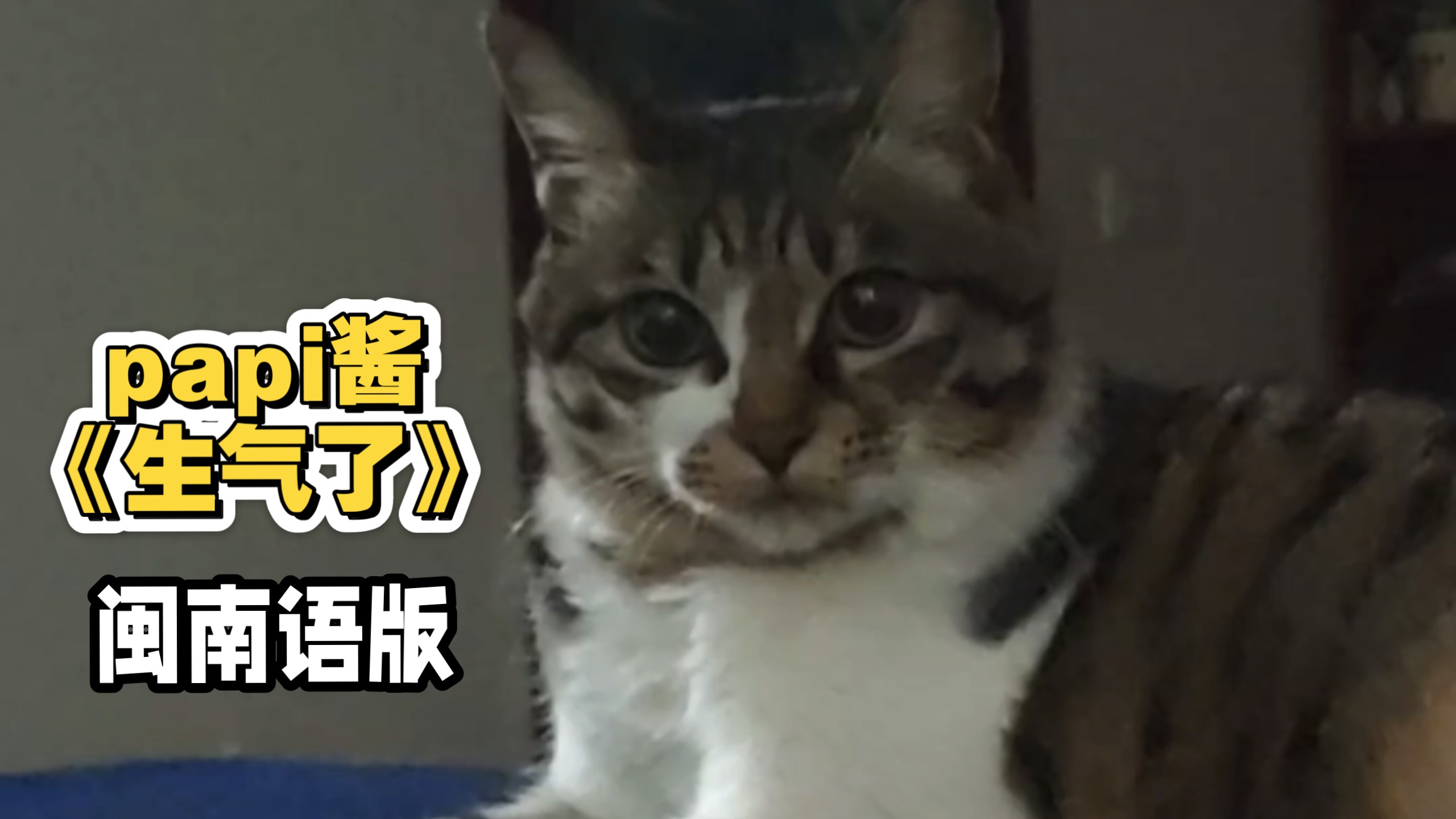 OMG你吓到我了但闽南语？