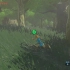 Zelda Breath of The Wild - 1.1.0 VS 1.1.1 Update - FRAMERATE