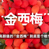 高颜值的“金西梅”到底是个啥
