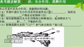 92d05d5ff1bf493f1ede33ad919bf1ead70a98e9.jpg@280w_158h_1c_100q.jpg
