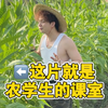 农学生的课室就是一片大自然