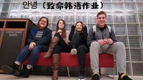 爱情与忠诚的军犬之歌——免费观看全集短剧，军犬之歌，爱情与忠诚的短剧全集免费观看