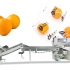浩铭达-超市水果包装机 柠檬包装机 橙子包装机