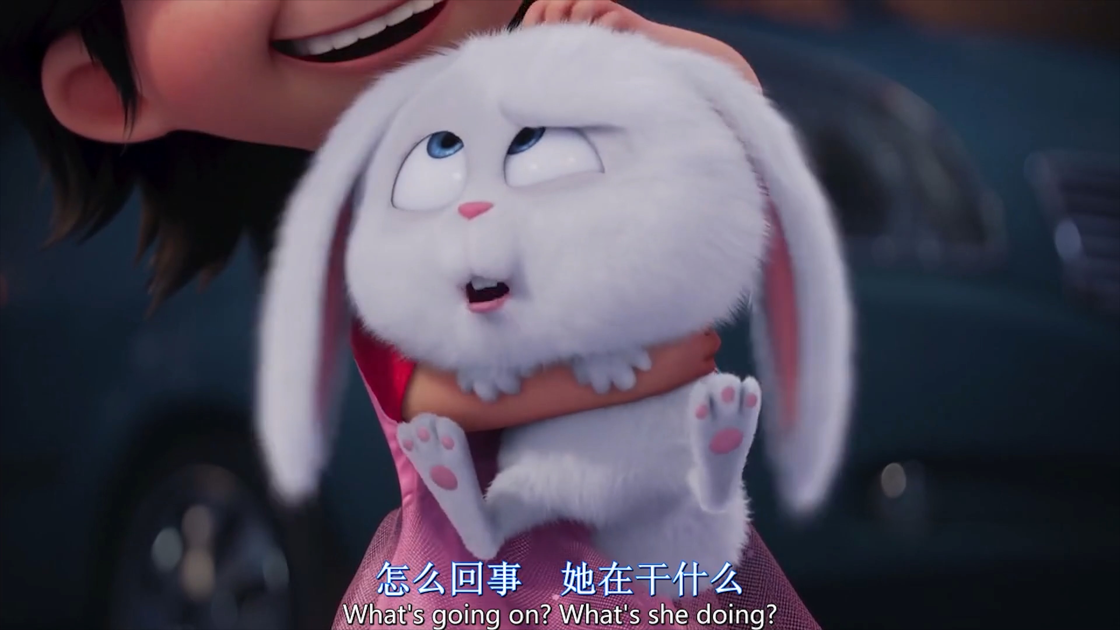 爱宠大机密