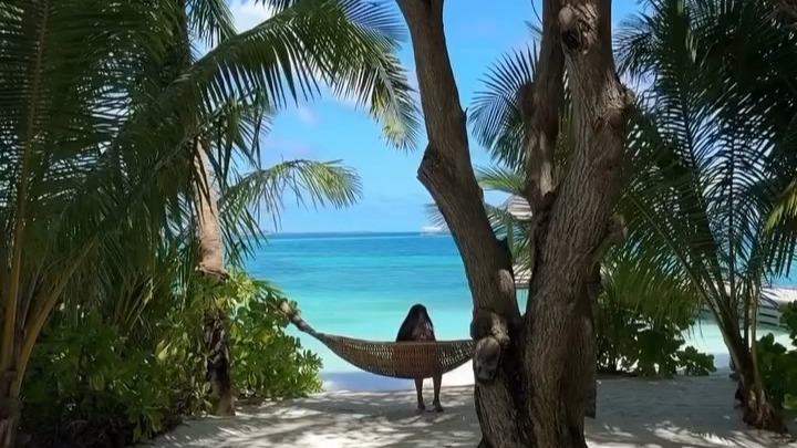 半个世纪前，在木制多尼帆船航行的年代，