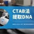【Bio-protocol】CTAB法提取DNA