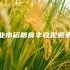 农业水稻粮食丰收视频素材