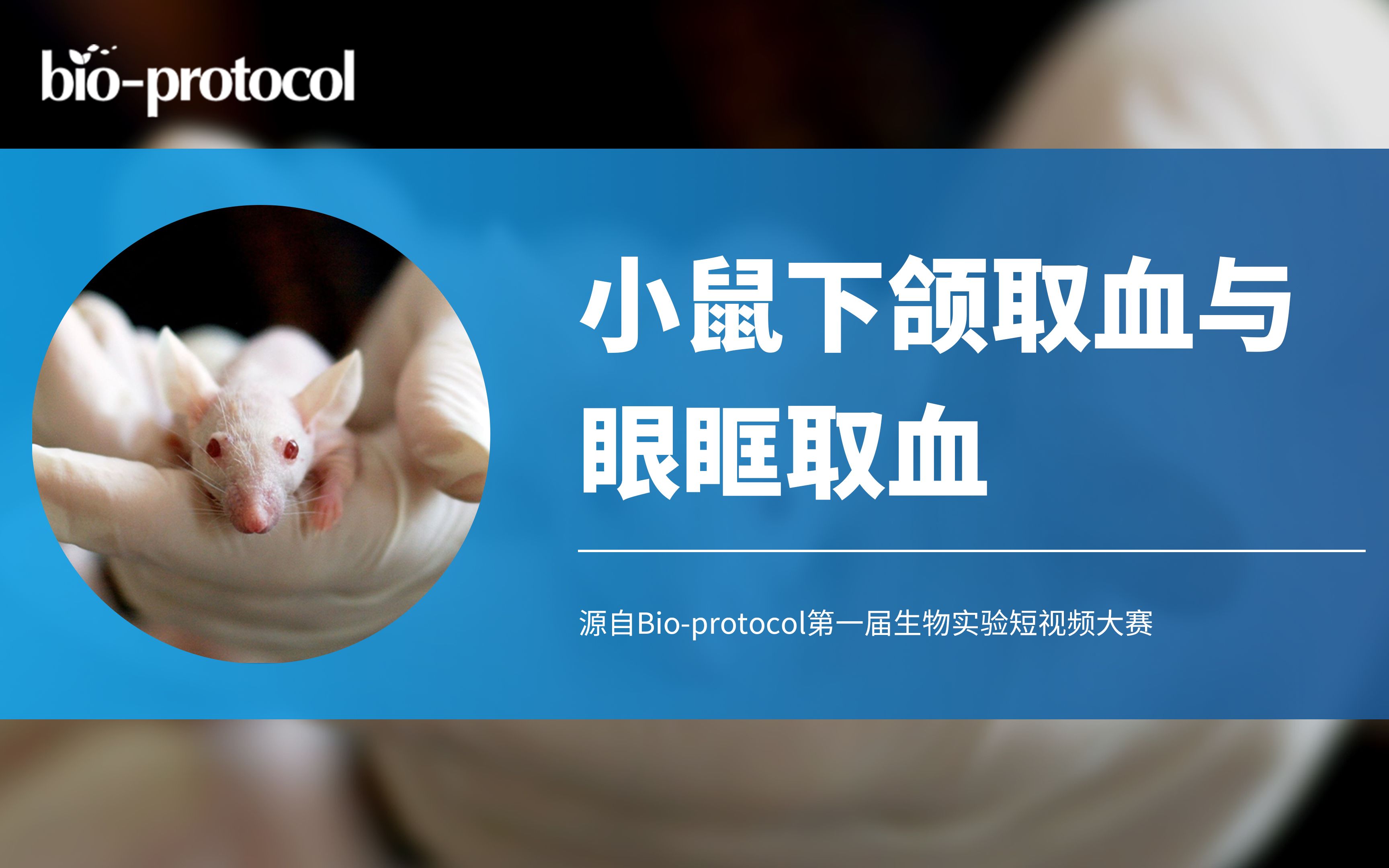 【Bio-protocol】小鼠下颌取血与眼眶取血