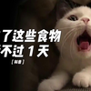 猫咪千万别吃的11种食物，吃了活不过24小时
