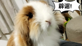 93793b6538b0f0ec3bab7d7f7af88bdcdaa409da.jpg@280w_158h_1c_100q.jpg