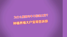 938ecc29cb7aa644575b8ae19f9d8c7baacc241d.png@280w_158h_1c_100q.jpg