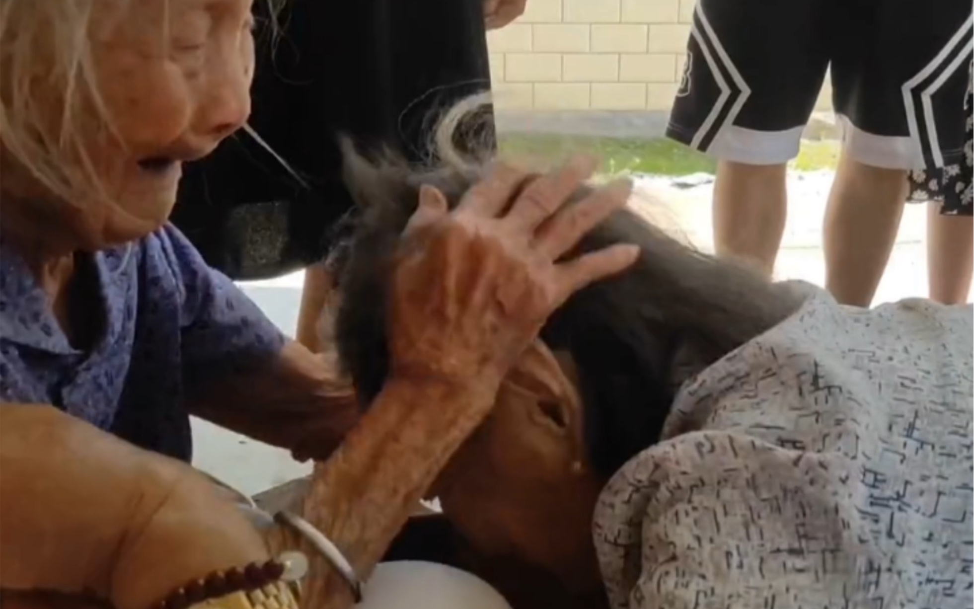 10月6日，广西南宁。时隔20多年，85岁女儿在家人帮助下看望110岁母亲，扑进妈妈怀抱一幕网友泪目！祝两位老人健康长寿！