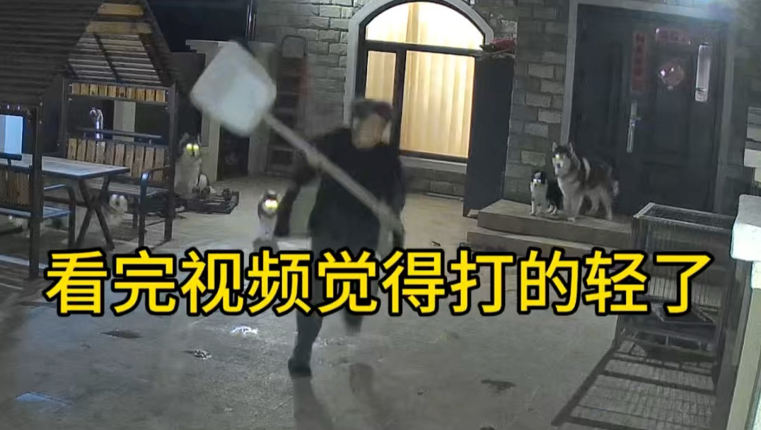 你们说这怪我揍他么，这狗纯是欠爪子