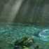 【大自然的宝藏·4K画面】晨雾笼罩下树林深处的汩汩清泉静心1小时 2026 x 3840