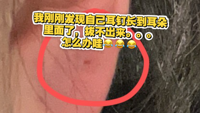 博三日常 碎碎念 你的电子朋友