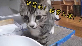 93e46c26f5bb7d01efef3e28e93c1664eab33b1d.jpg@280w_158h_1c_100q.jpg
