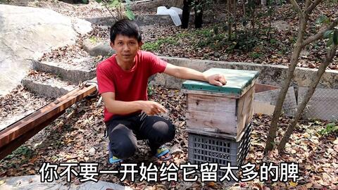 9405035683fa4c1ed134c8fcdb46c40f248a0cd4.jpg@480w_270h_1c