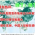 推特网友热评：绿了，绿了！美国NASA发图宣布地球比20年前更绿了，其中中国和印度贡献最大，印度人都在高潮，中国人却都在