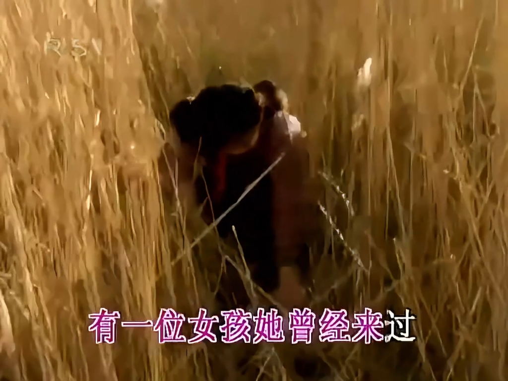 经典金曲-甘萍（一个真实的故事）高清修复卡拉OK高音质