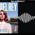 R U My National Anthem - Lana Del Rey _ Arctic Monkeys (Mash