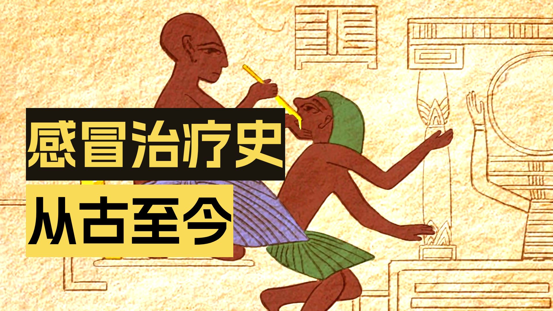 治疗普通感冒的最佳方法是什么？【TED-Ed】