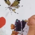国画写意蝴蝶，画师手法细腻，简单几笔，栩栩如生