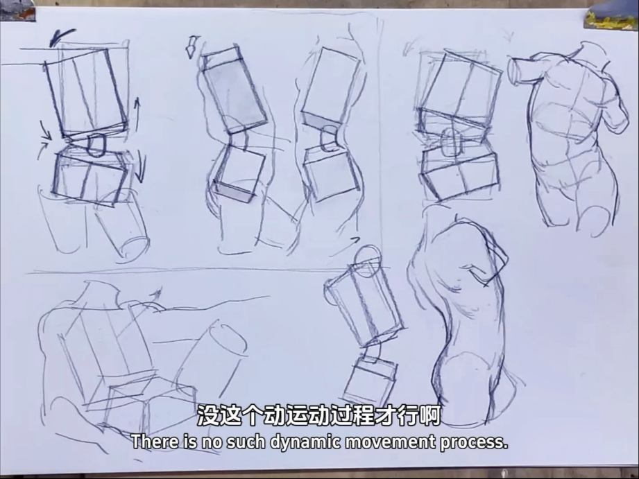 人体骨盆胸腔到底如何同步运动？看完颠覆认知！