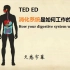 TED ED 消化系统是如何工作的？久悠字幕 How your digestive system works Emma 
