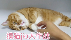 949477fe873cbb5e8e96103ff241f75448086286.jpg@280w_158h_1c_100q.jpg