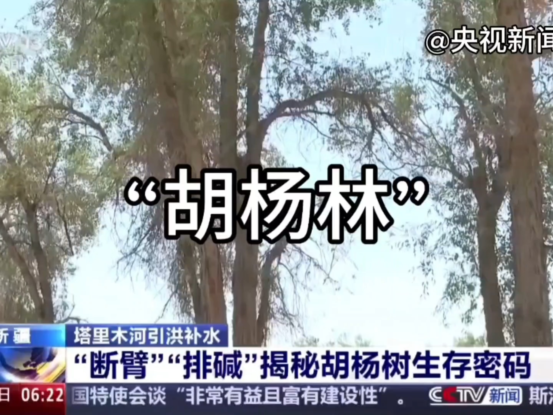 地理生物热点‖胡杨林的生存智慧及原因?