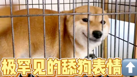 94be1f7fa3ad880f9b3778829f9af13f7340658e.jpg@480w_270h_1c