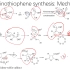 有机人名反应（118）：Gewald aminothiophene synthesis
