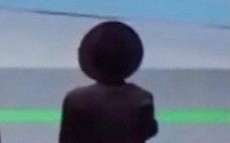 94c674663566c53520dbec993a33ce44b8076a2b.jpg@280w_158h_1c_100q.jpg