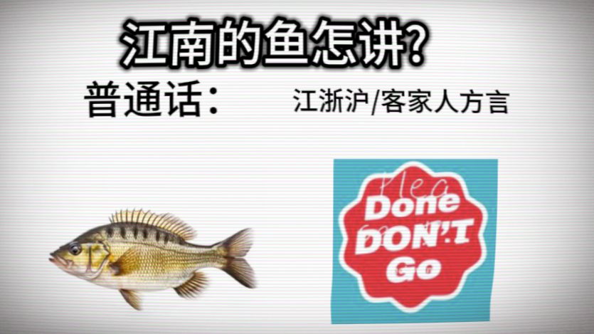 江南的鱼是这么说的
