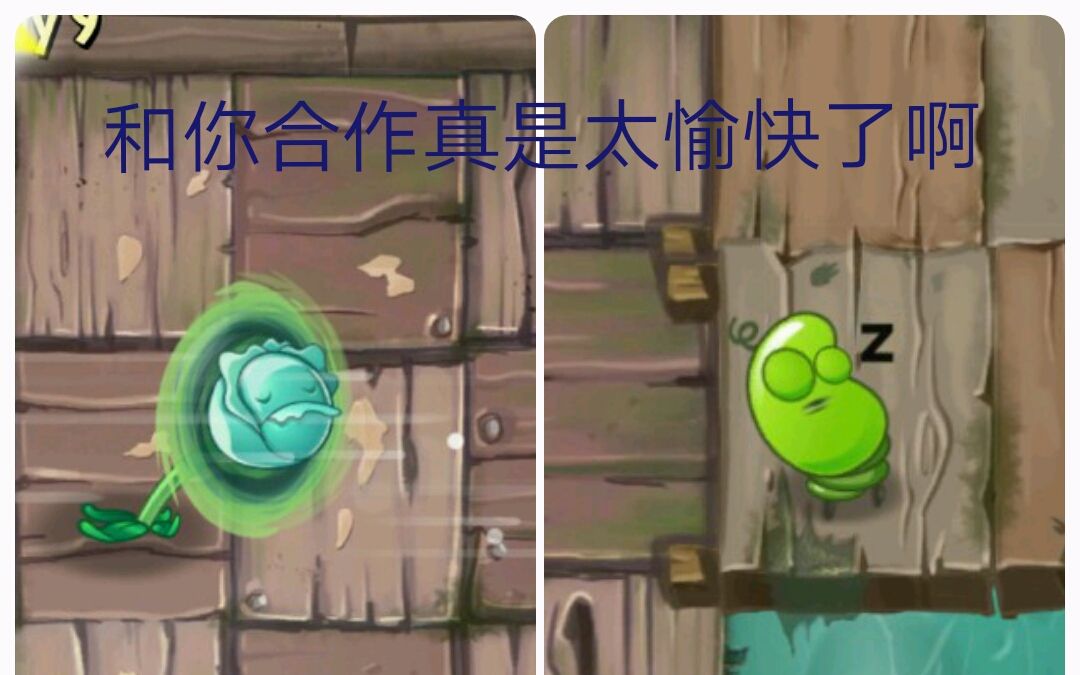 植物大战僵尸2国际版:弹簧豆-飓风甘蓝:和你合作真是太愉快了啊