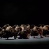 《移山》第12届全国“桃李杯”男子群舞