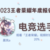 晨岚a的2023王者荣耀年度报告>>>