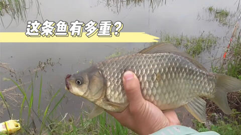 95049954a25261e578a23a37eb244120448fa7d6.jpg@480w_270h_1c