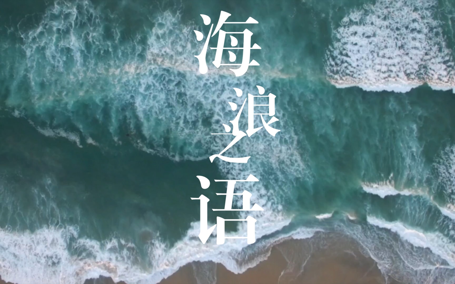 世界公认最佳放松轻音乐｜海浪之语｜树林自然音乐｜白噪音｜睡眠｜学习｜工作｜冥想｜失眠｜催眠