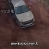 现在站在你面前的是，全网公认的爱你老妈#爱你老妈