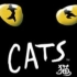 [中字]【音乐剧】猫  Cats (1998)