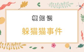 【梗知识】躲猫猫事件